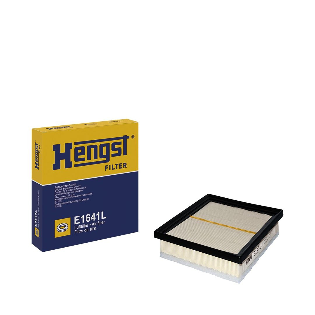 E1641L Hengst